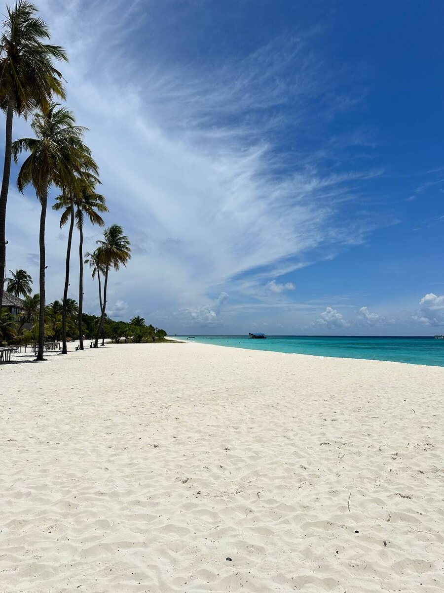 Kuredu Island Resort 4*, Мальдивы