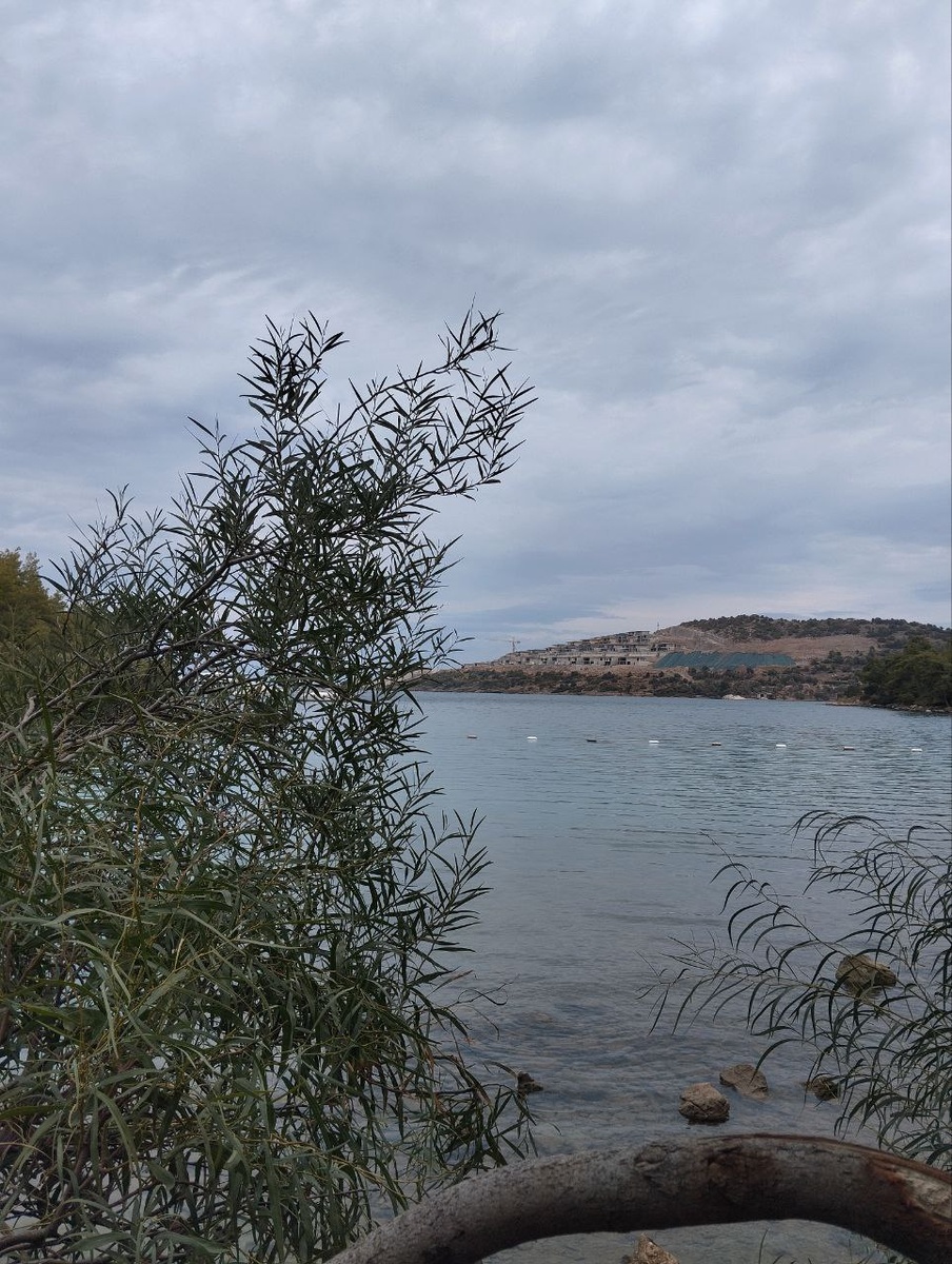 фото автора, 19.10.2025