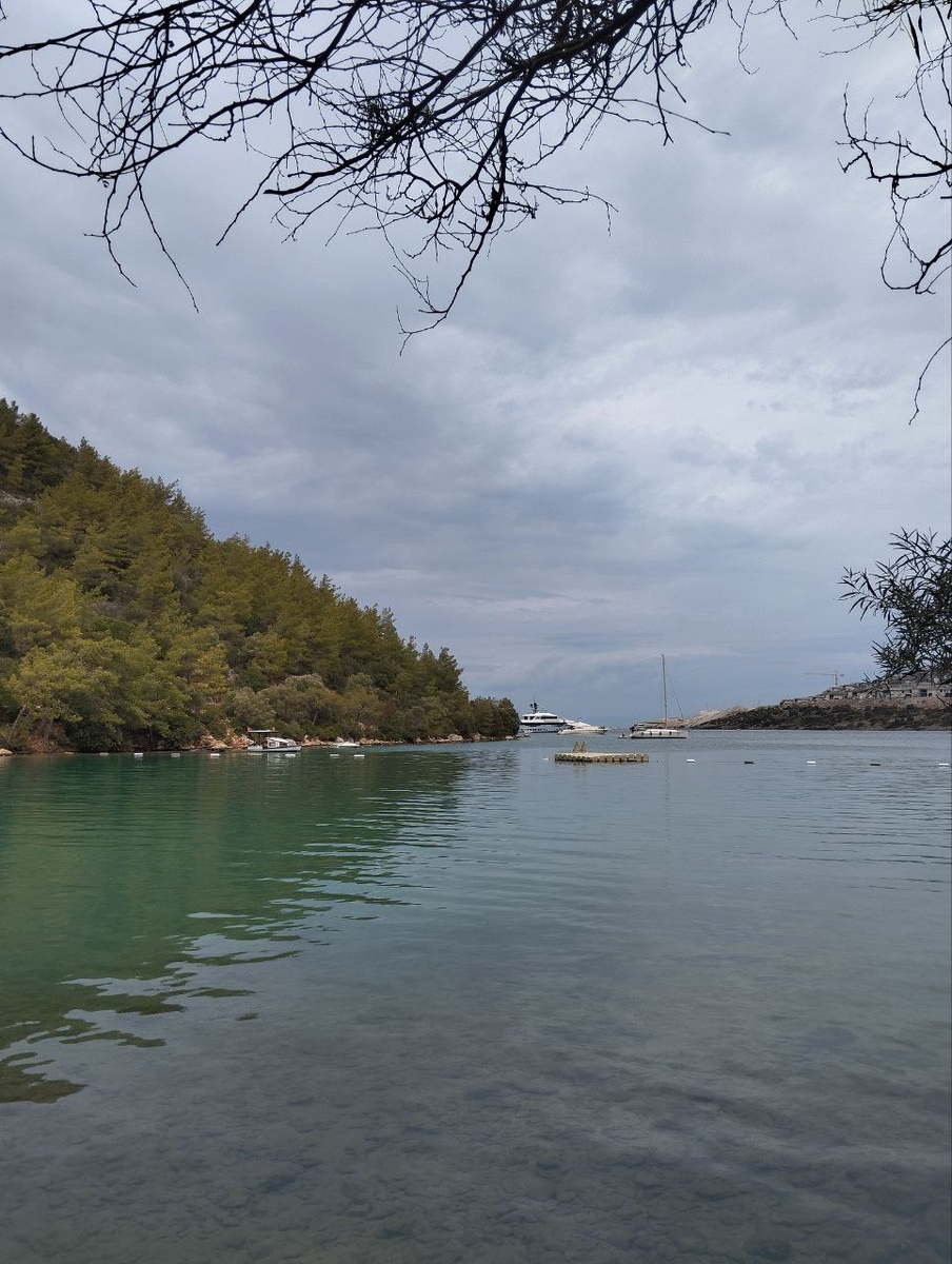 фото автора, 19.10.2025