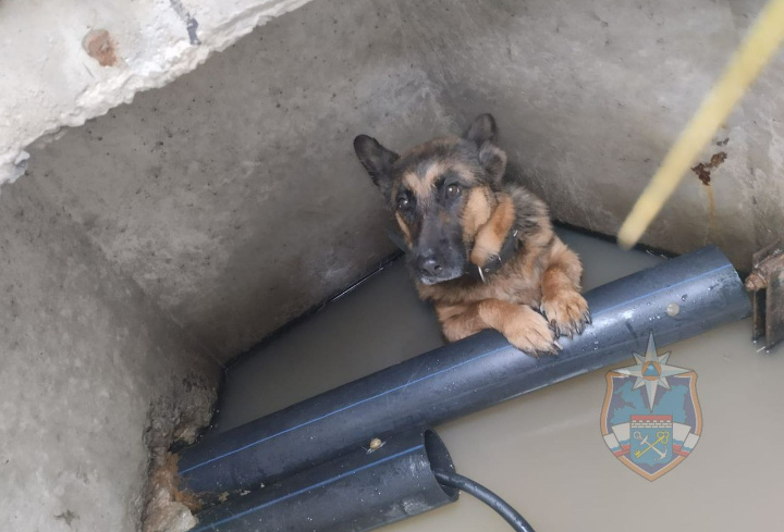 фото: аварийно-спасательная служба Ленобласти