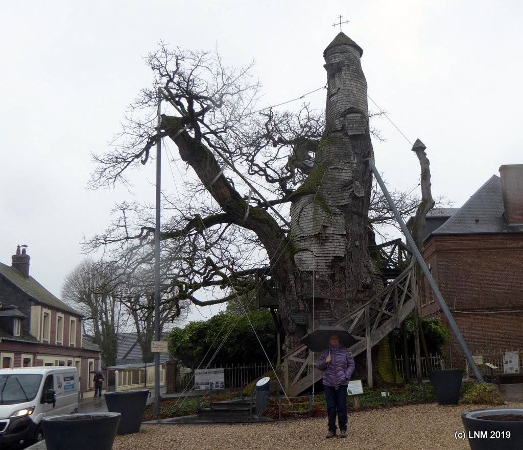 Дуб-святыня в Нормандии: внутри ствола расположены две капеллы, объект культурного наследия Франции, (источник: sova-f.livejournal.com)