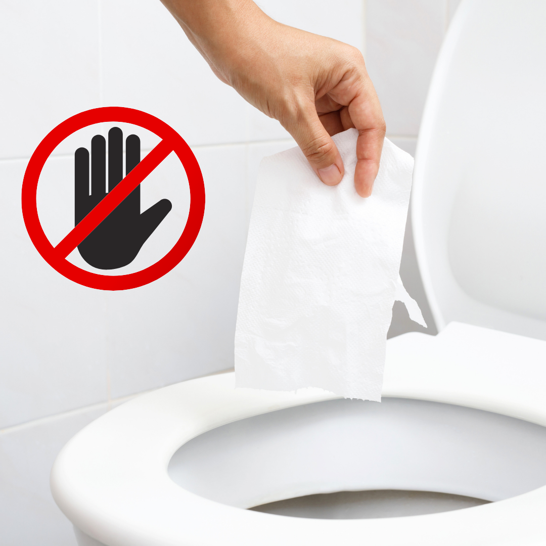 Источник фото: Canva