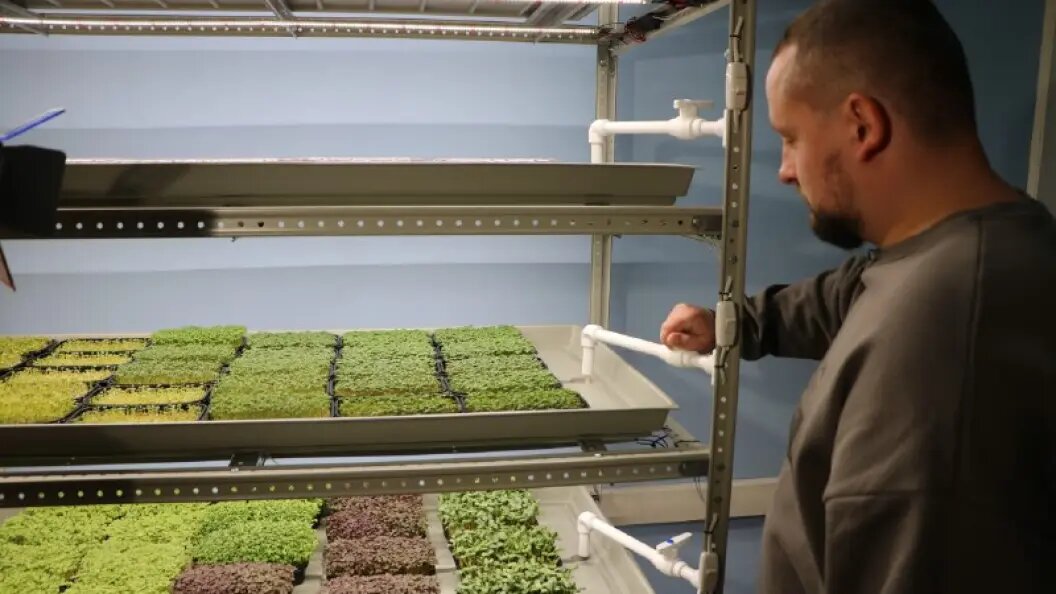    Фото: Царьград Новосибирск