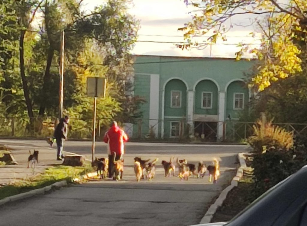    Фото из архива редакции Редактор