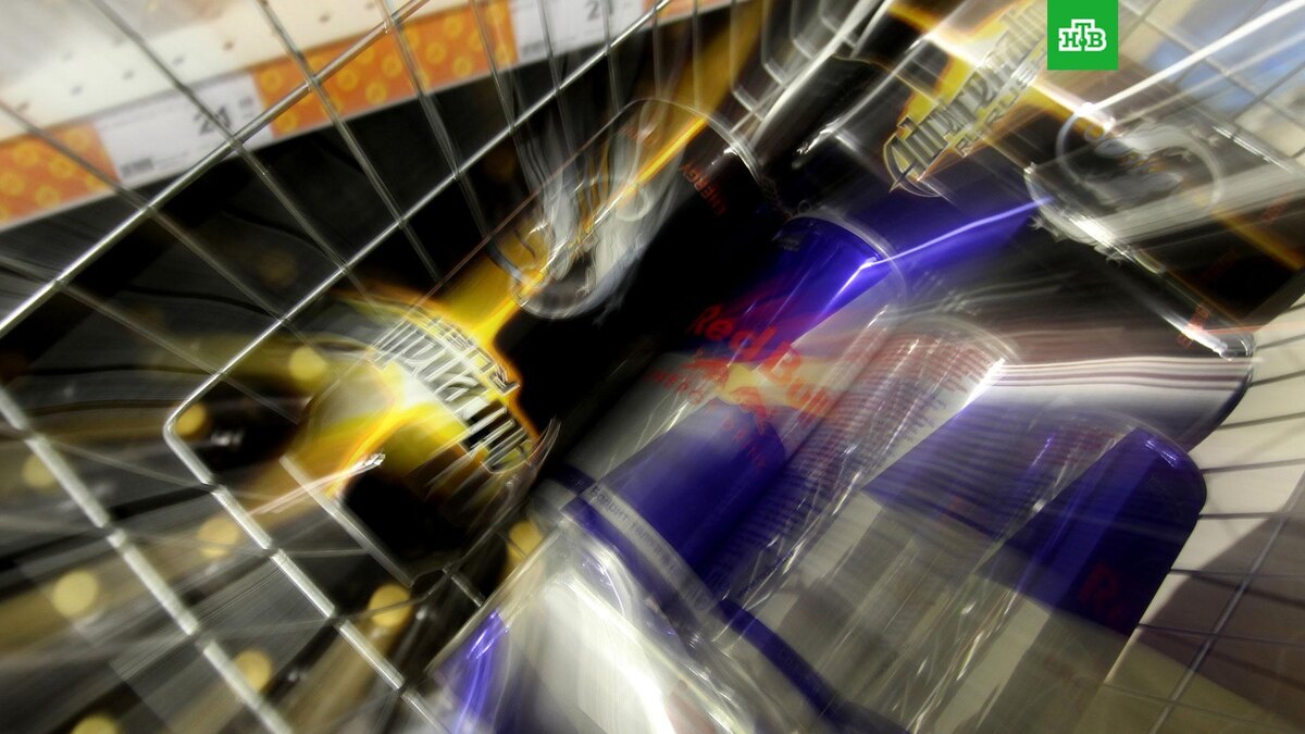    Фото: РИА Новости © 2025, Константин Чалабов