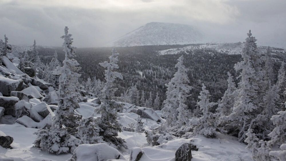    Фото: Ivan Okuntsov/Shutterstock/Fotodom