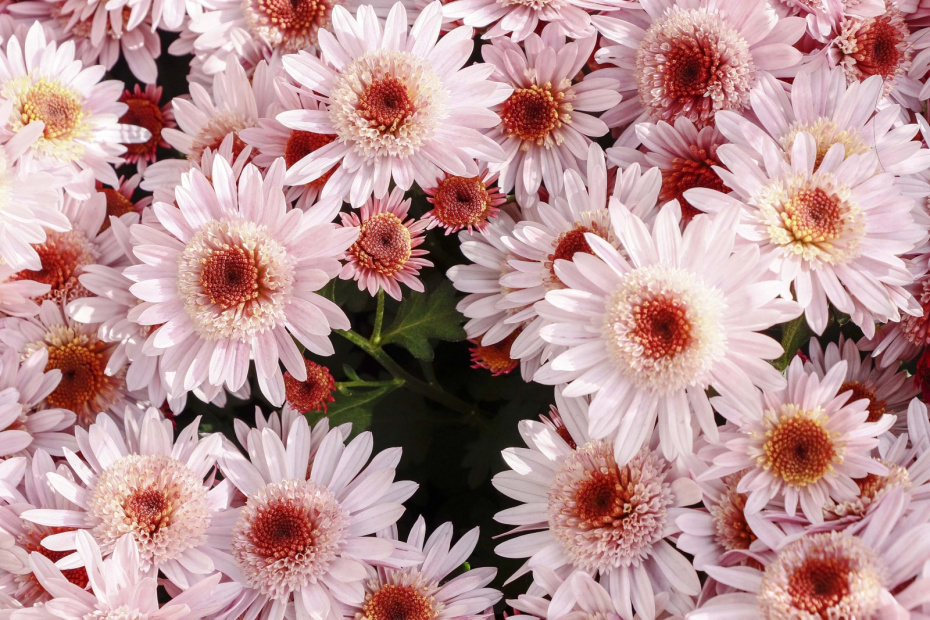    Cfoto/Keystone Press Agency/Global Look Press