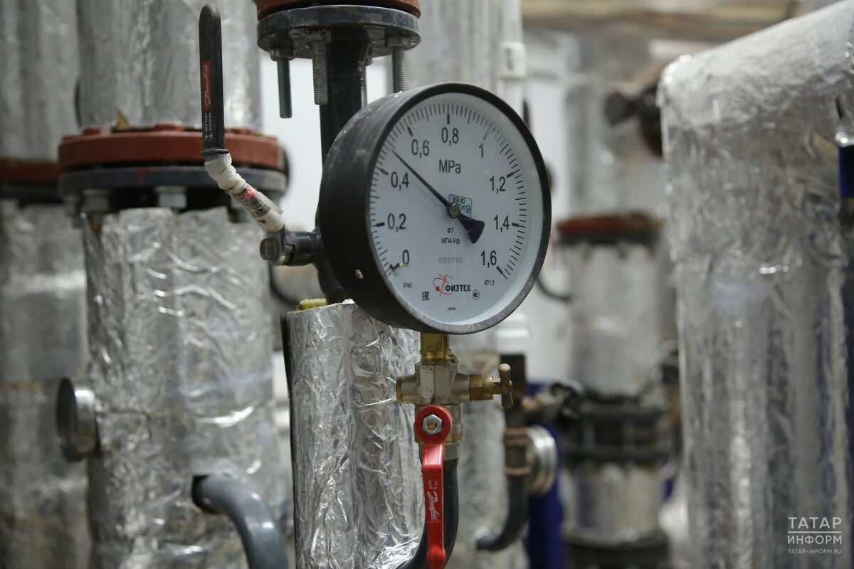 Фото: © Султан Исхаков / «Татар-информ»