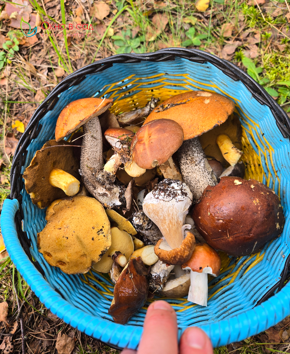 Фото из личного архива автора