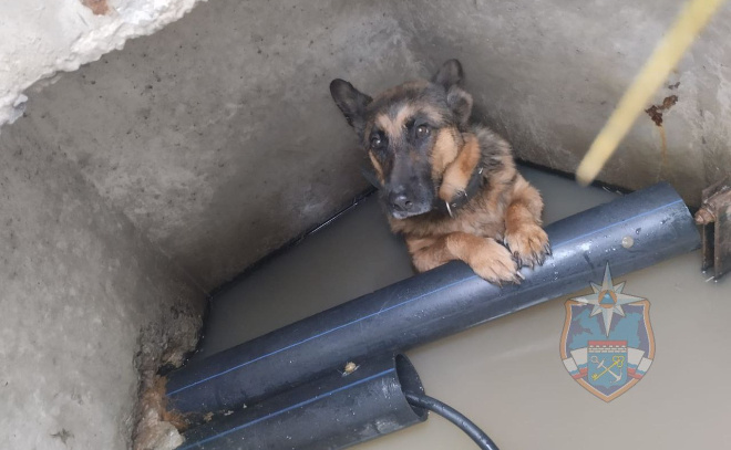    © Аварийно-спасательная служба Ленобласти