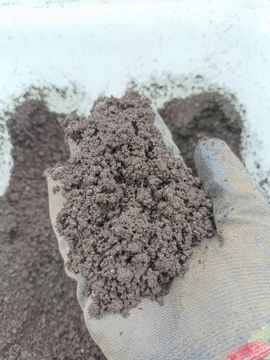 "Черное золото" - биогумус