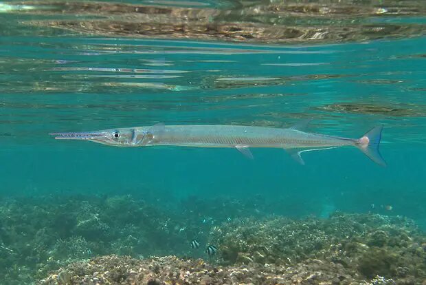    Фото: lenta.ru Мария Михайлова