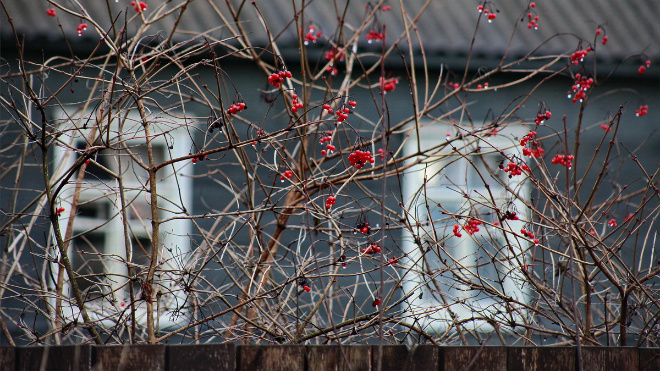 Фото: Анастасия Илюшина/47channel, архив