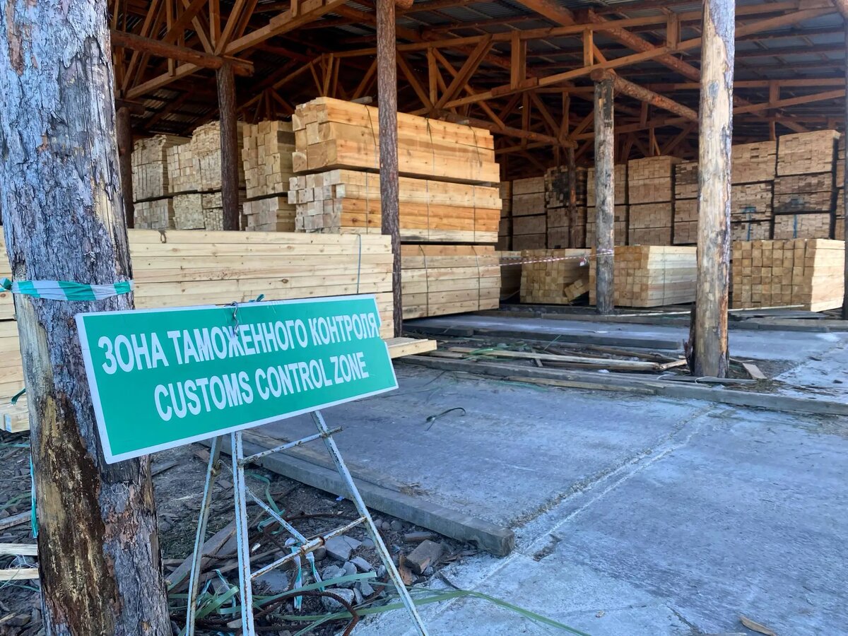     © "Интерфакс". Артём Арестов