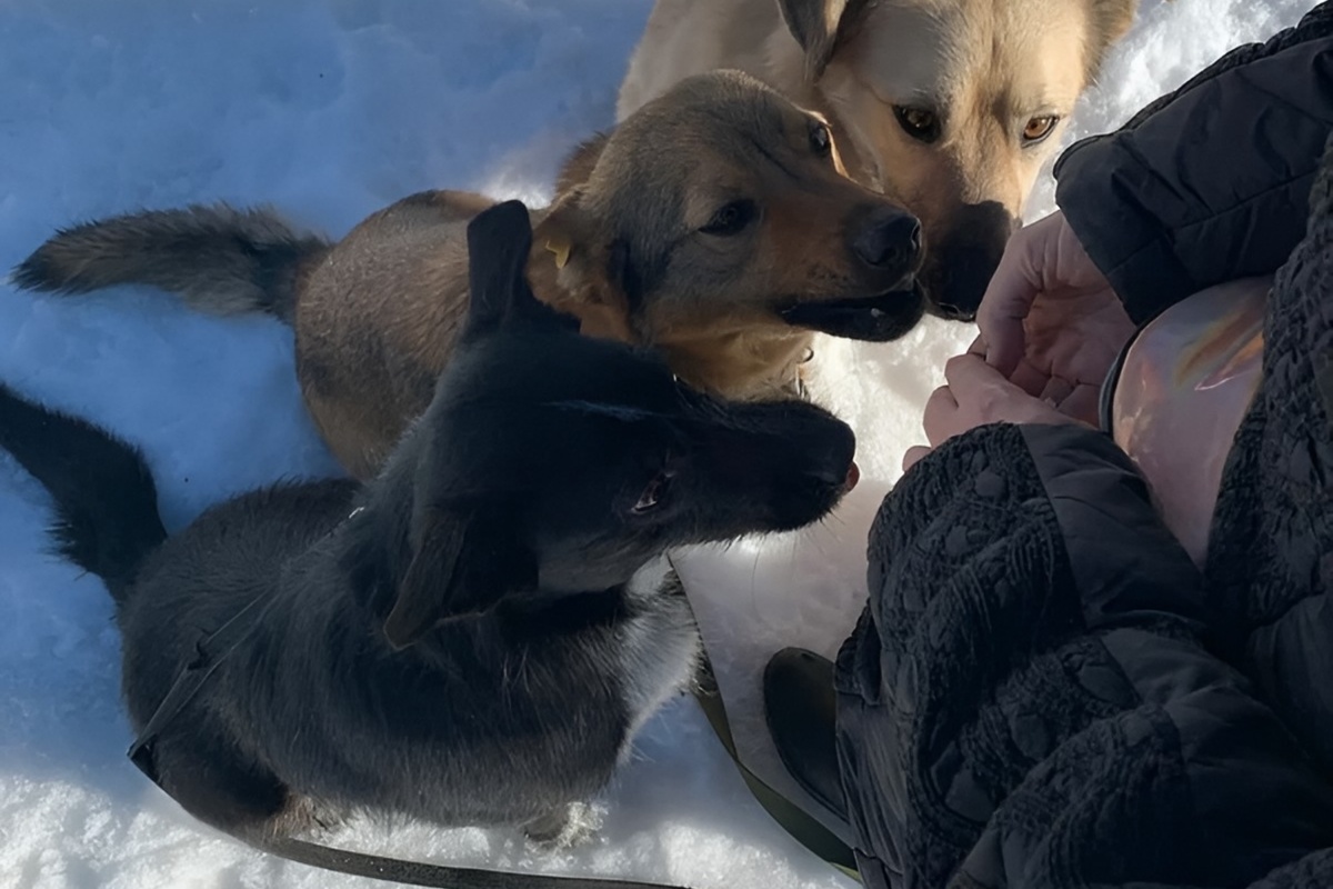 26 октября 2025 года, 11:00