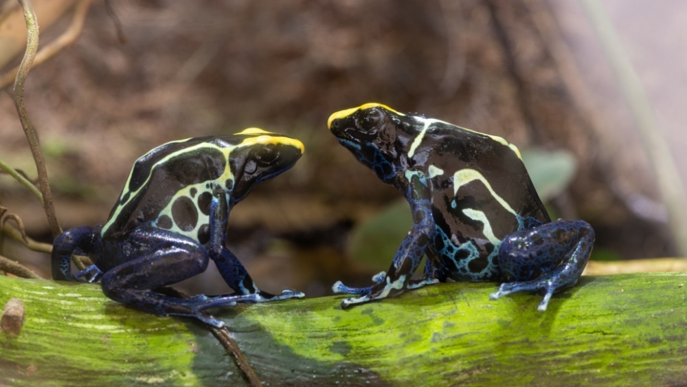     Фото: Tom Meaker/Shutterstock/FOTODOM