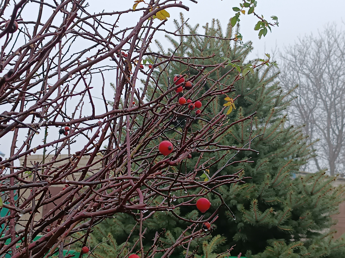 зима?... или?...