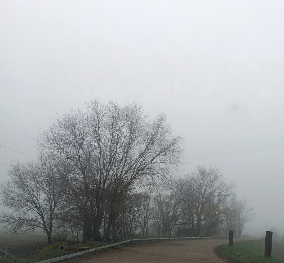 волгоградский туман