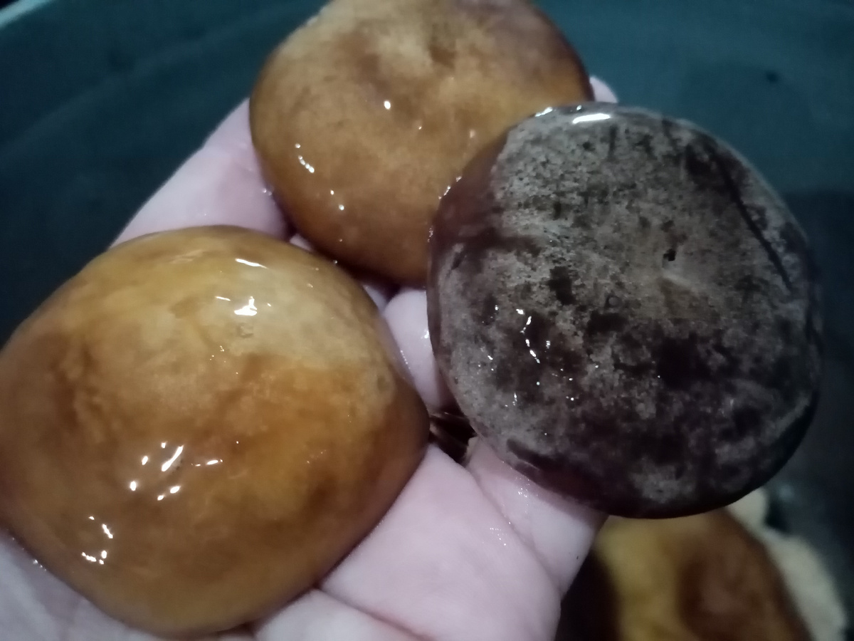 Гладыши после вымачивания, посмотрите как они меняют цвет, фото автора