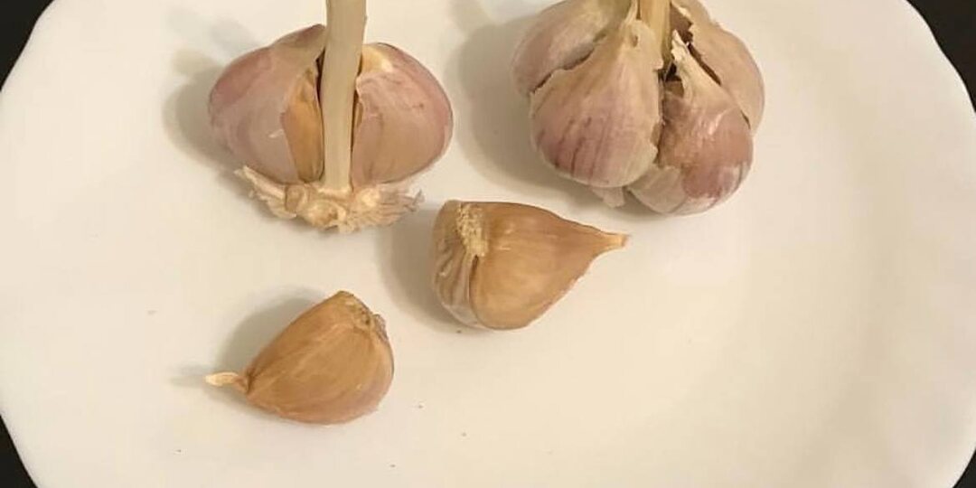 Как вырастить хороший чеснок