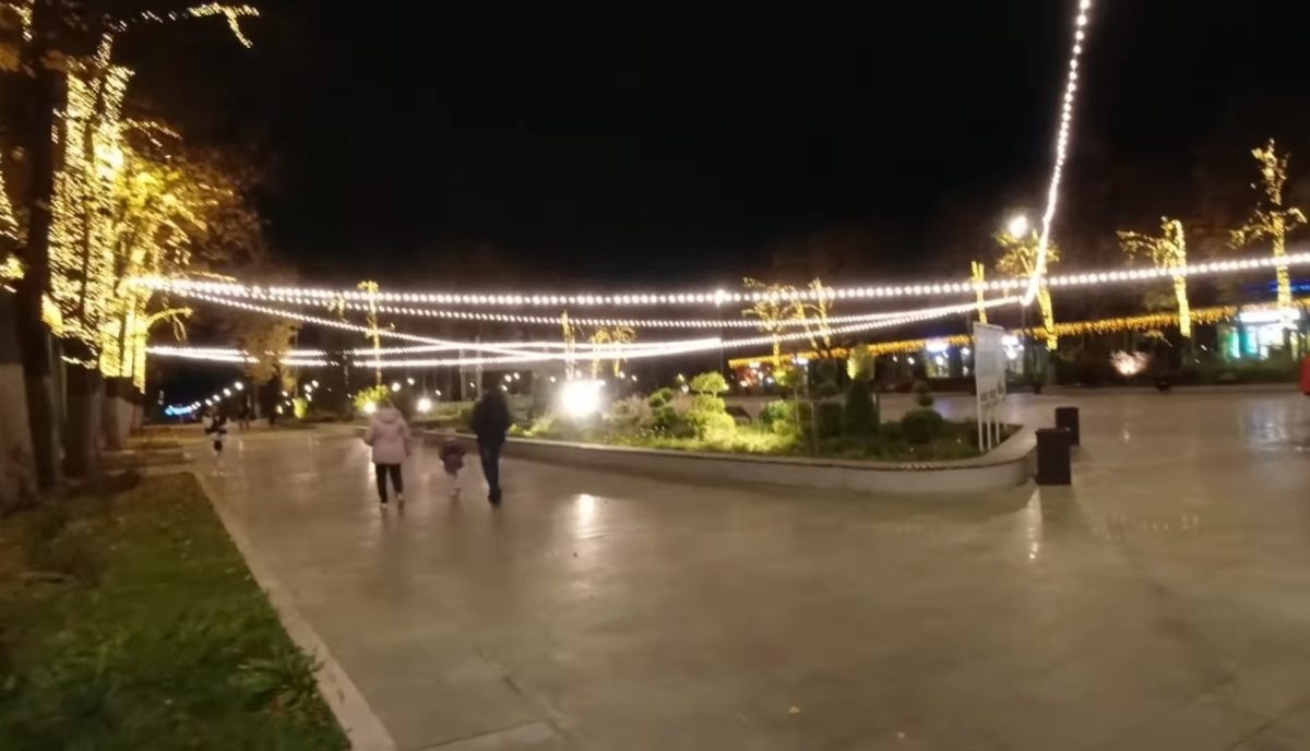    Иностранцы приехали в парк \