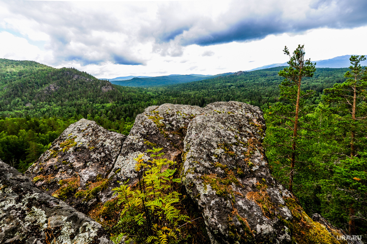 Тайга продолжает хранить молчание о пропавших. Фото: Вадим Ахметов © URA.RU