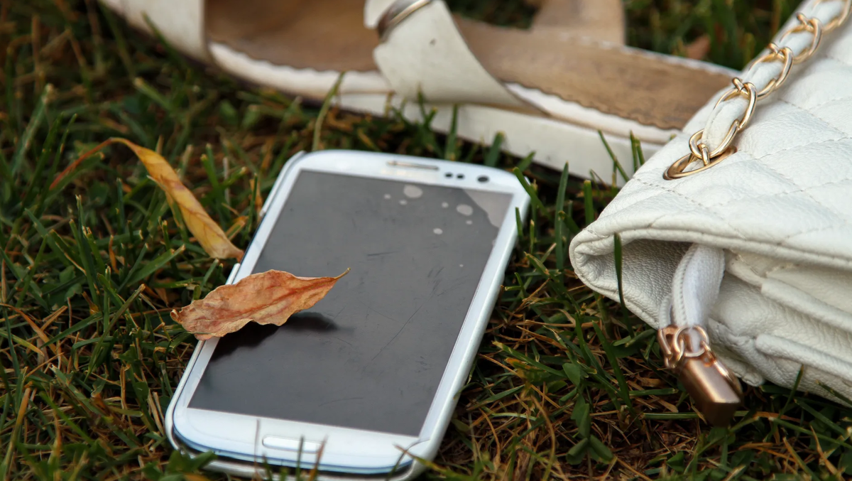 фото: Медиасток.РФ