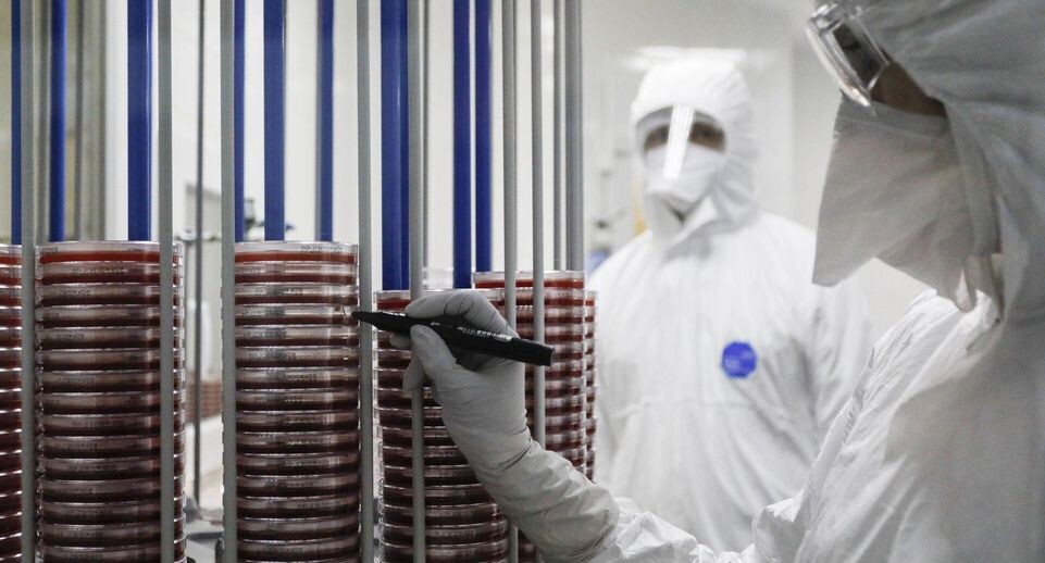    РИА «Новости»