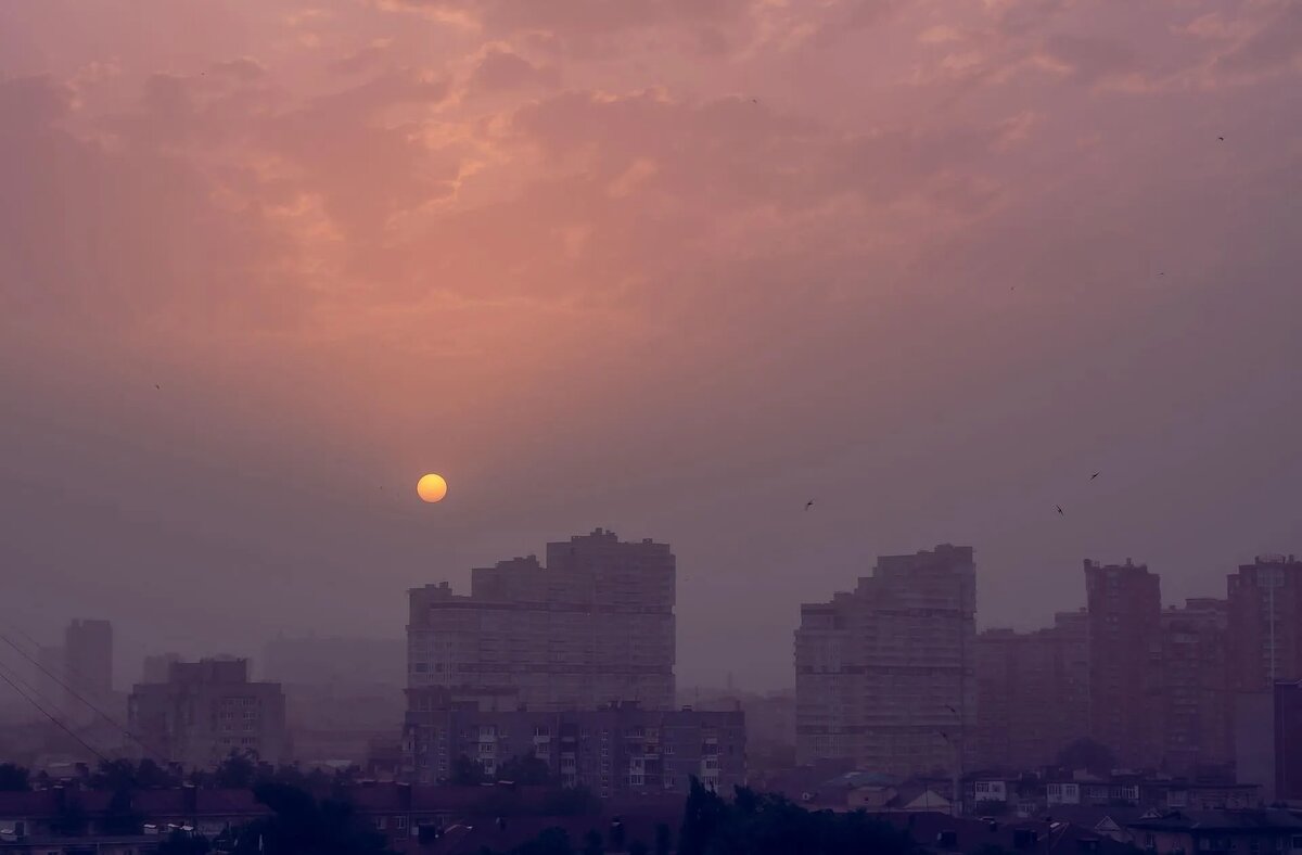 Фото: Krasnodar Pics / pixabay.com