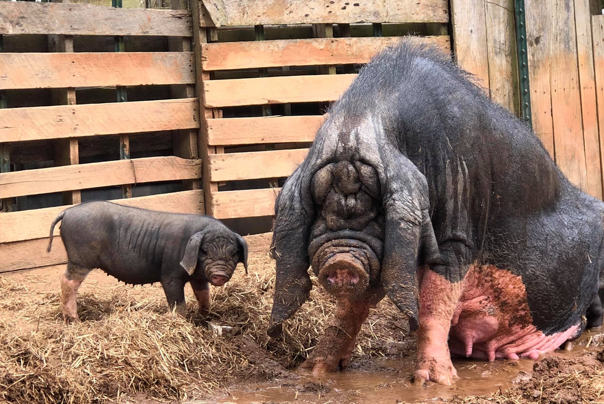 � �� ���, ����, ����� ������ ��� ��������? � ����, �� ��� ���� ����� ��� ������! 