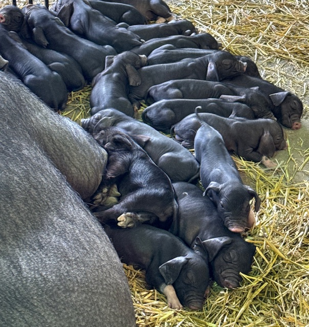 ���� ���� � ��� ����� �����, �� ������� ������ ������� ���������� ������������ ���! 