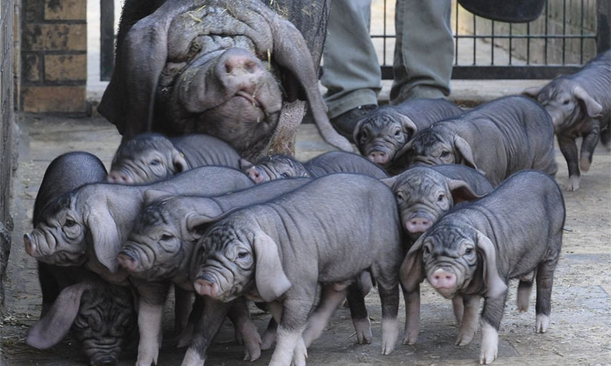 � ��� ������� ������� � ������ ���������� �������� �����. ��� ������������ � ��������. 