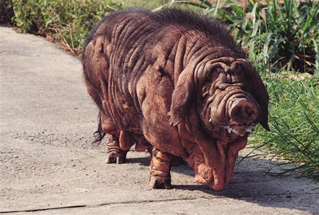 ��-��, ��� ��� ����� ����� ���������, ���� �� �� ������ �����! 