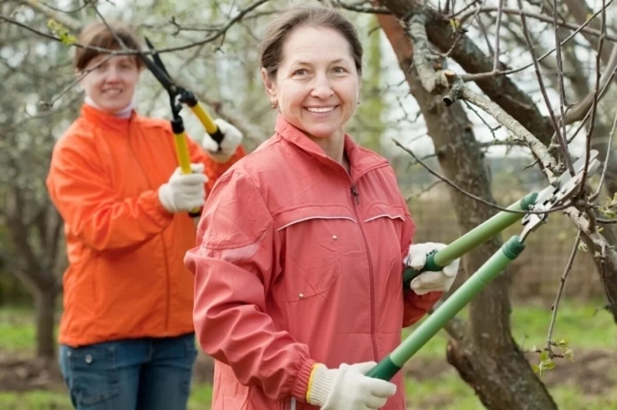    В Рязанской области развернулись масштабные акции по озеленению