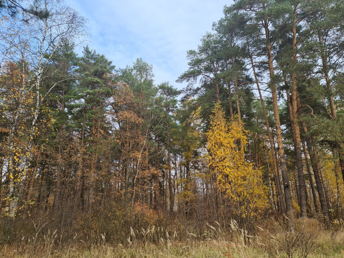 Надо жить как маленькие птички и летать недалеко от земли и быть счастливыми. Хотя мы человеки и жаль, что летать так никто и не умеет и даже до потолка и то никто не летает. Если только с помощью специального оборудования для разных шоу. Но потом они все обратно спускаются на землю и ходят по полу, по дорогам и асфальтам. В небо тела людей не летают и до потолка их тела тоже увы не взлетают это все обман. Потому что все ходят пешком и живут в основном на земле и смешно слушать слова, которые не соответствуют действительности действий