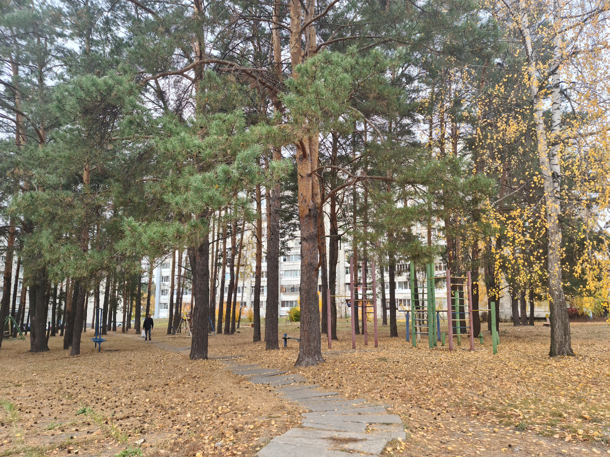 Дятлов на деревьях очень прямо много настучат всем злым слихвой и мало не покажется