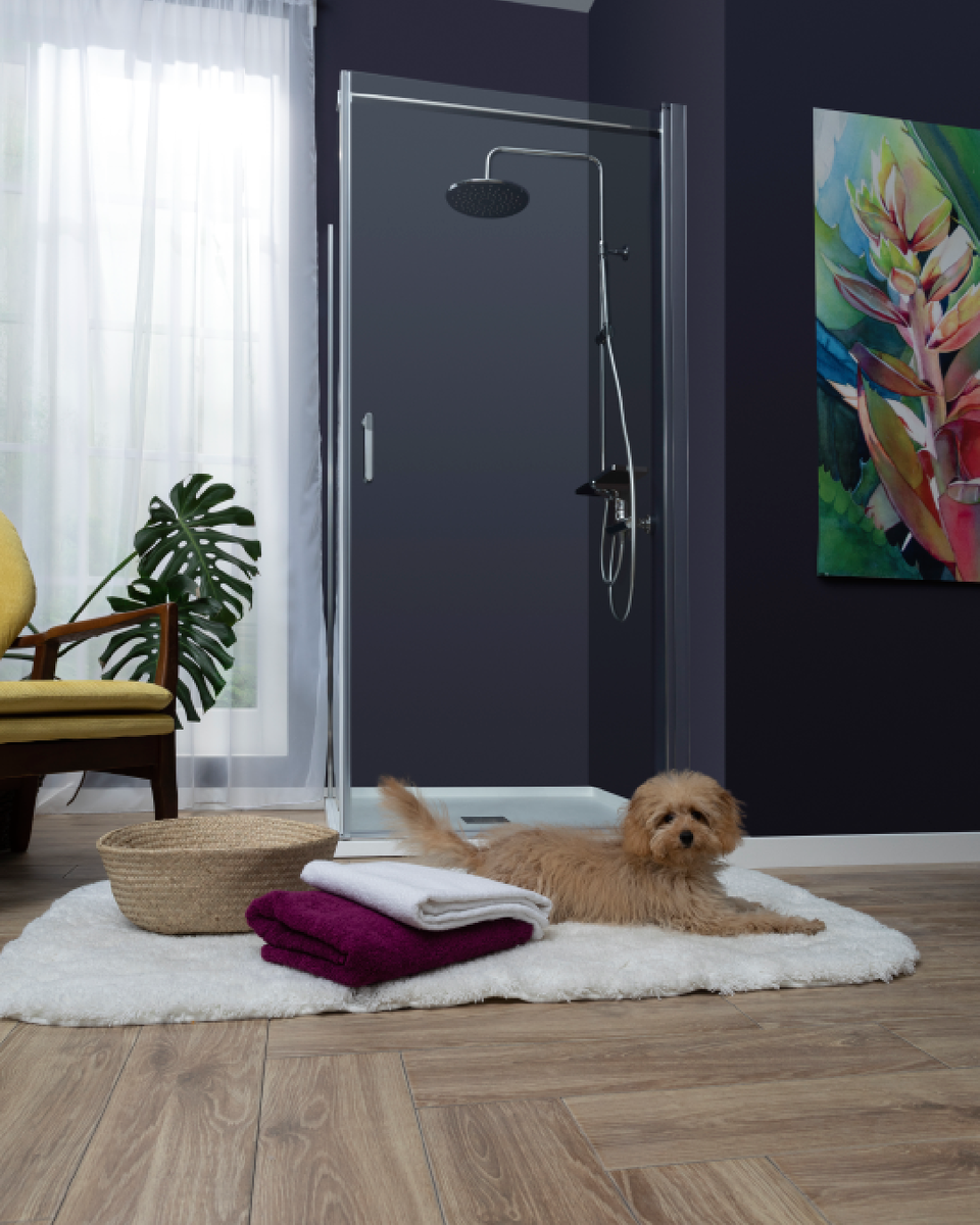 Душевая дверь Aquanet Cinetic AE12-N-90H190U-CT 900, прозрачное стекло в Москве