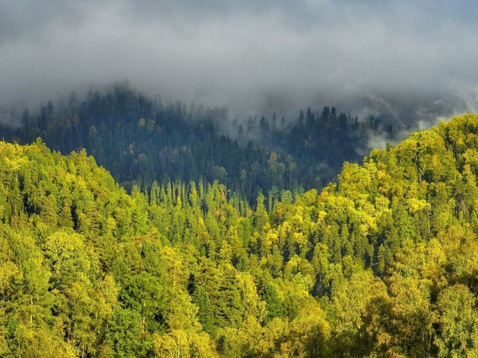    Осень в Алтайском заповеднике. Источник: t.me/altzap