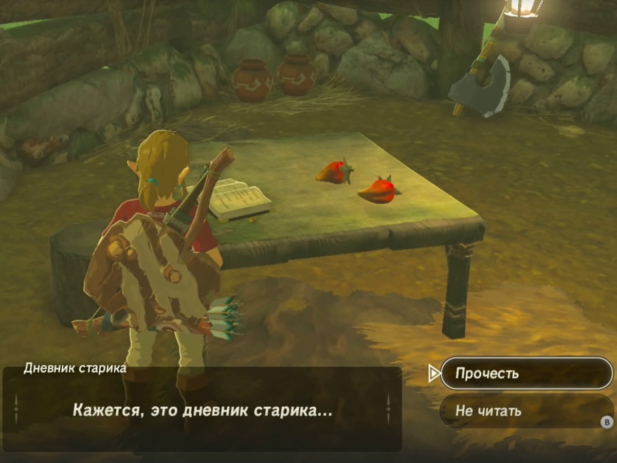 Дневник старика