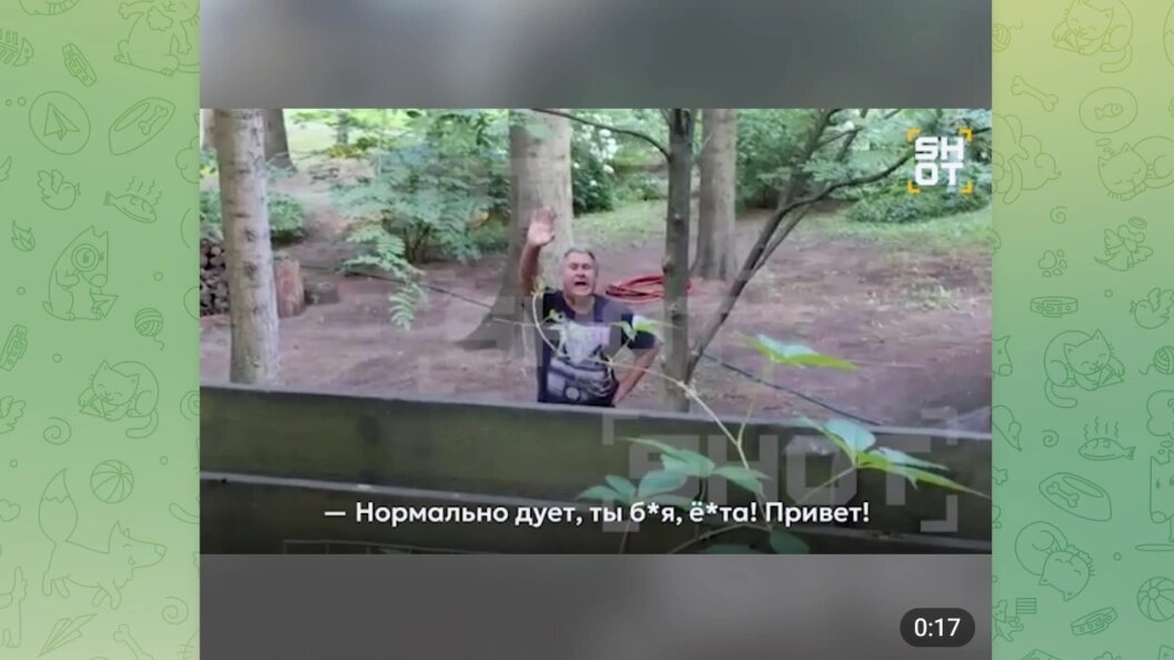    Телеграм-канал "SHOT"