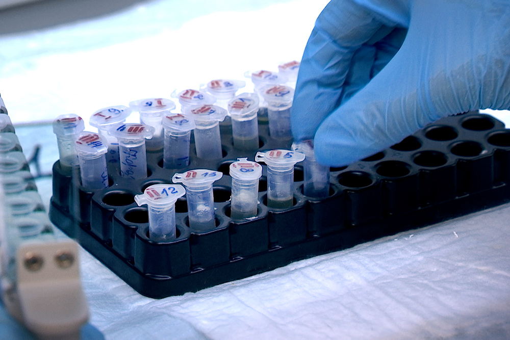    ©АО "ТВ Центр"