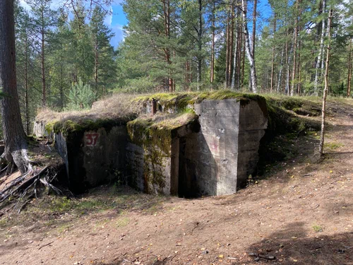 Фото: ДОТ №37 Каур, наше время