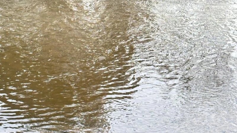     У популярного развлекательного комплекса барнаульцы обнаружили в реке странные разводы. предоставлено altapress.ru