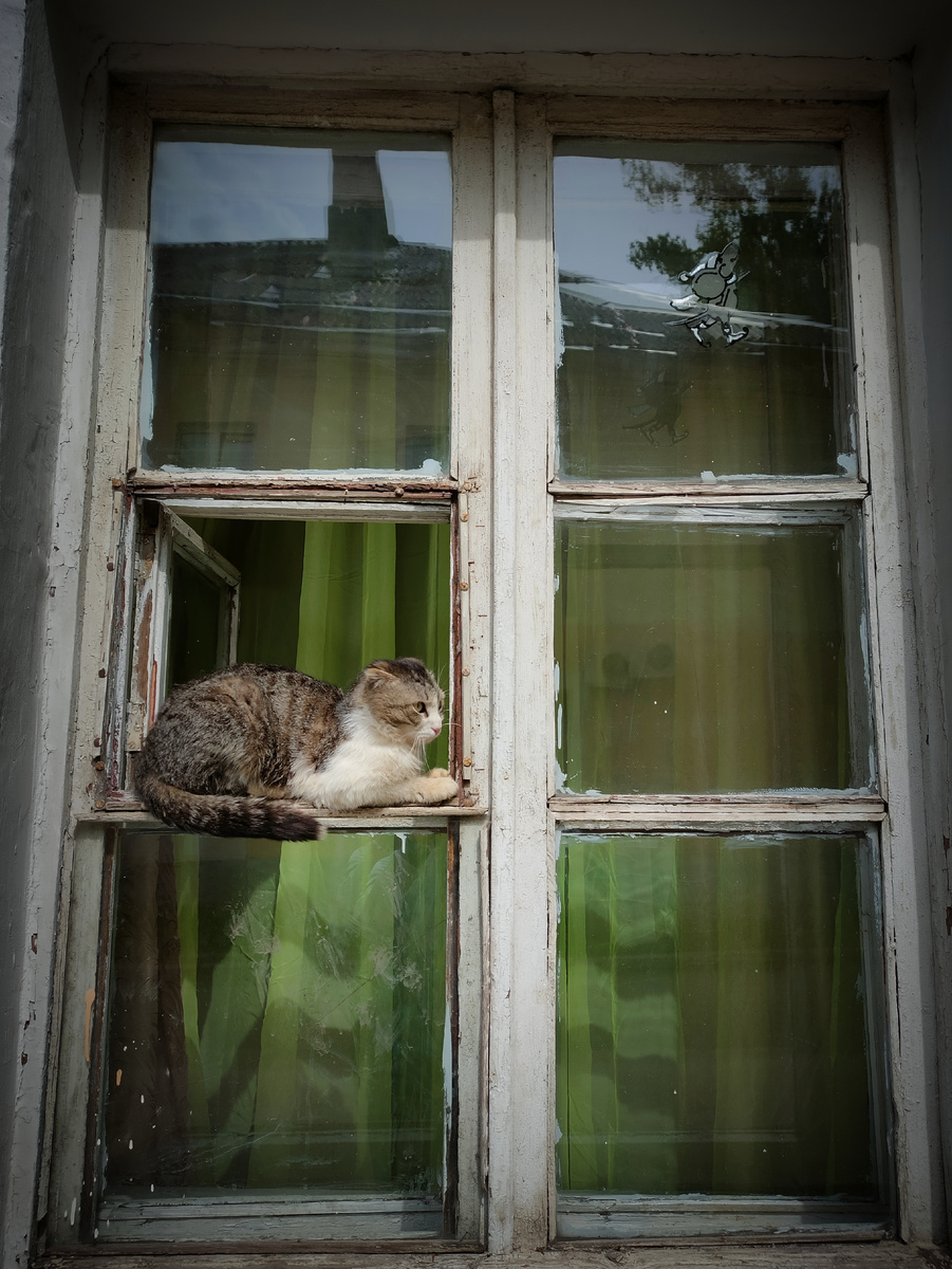 (© Анна, «Маяк энерджайзера»)