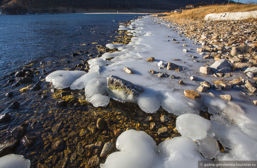 © Galina Gorshenina