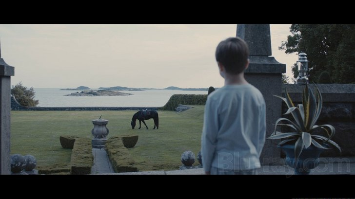 Кадр из фильма