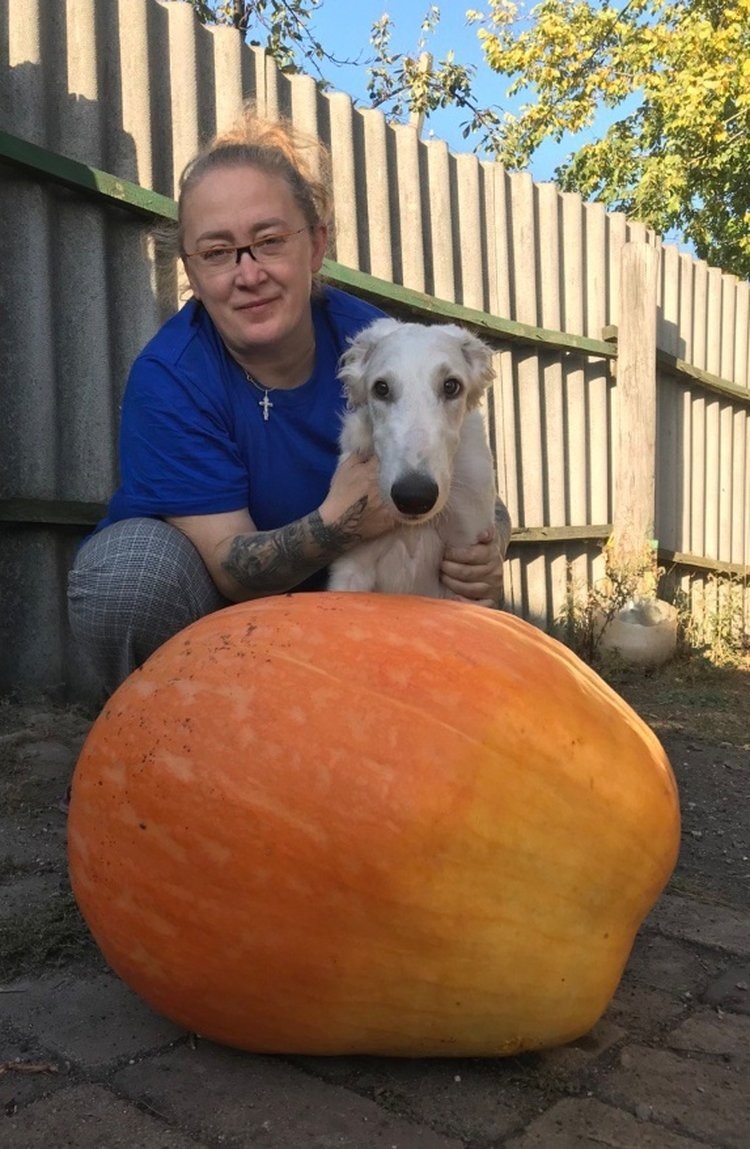 Автор фото: Светлана Парфенова.📷    Жительница ДНР получила приз «За волю к победе» за гигантского Володю
