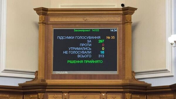    © Фото : Залізний нардеп / Telegram