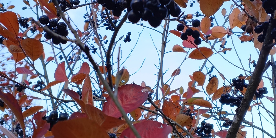 Тихий развод: когда в доме двое, а каждый живет в одиночестве