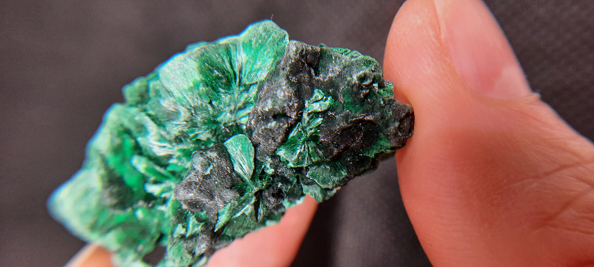 Плисовый малахит. Фото из личного архива 2025